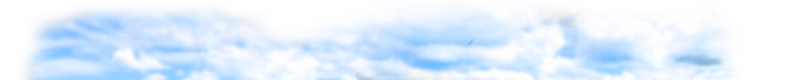 Fon 01