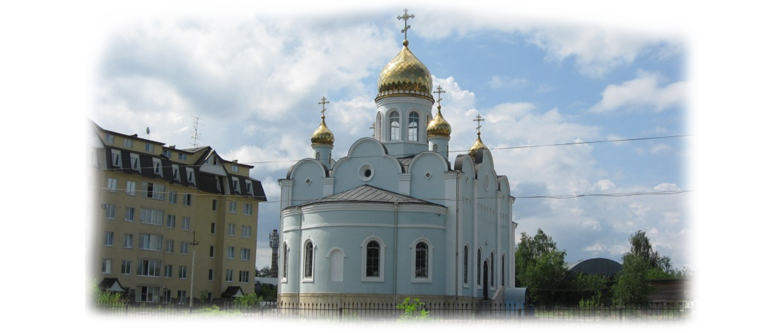 Rodniki